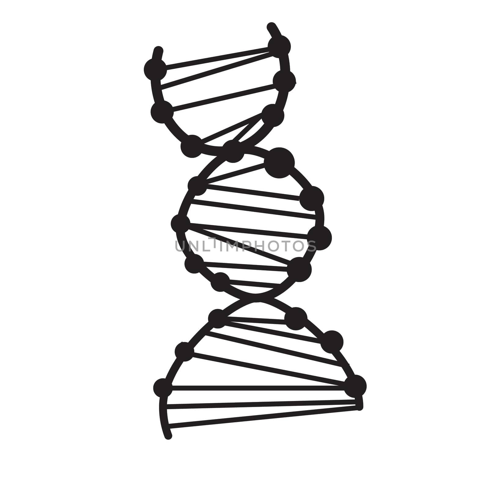 dna icon on white background. dna sign. flat style. dna icon for by suthee
