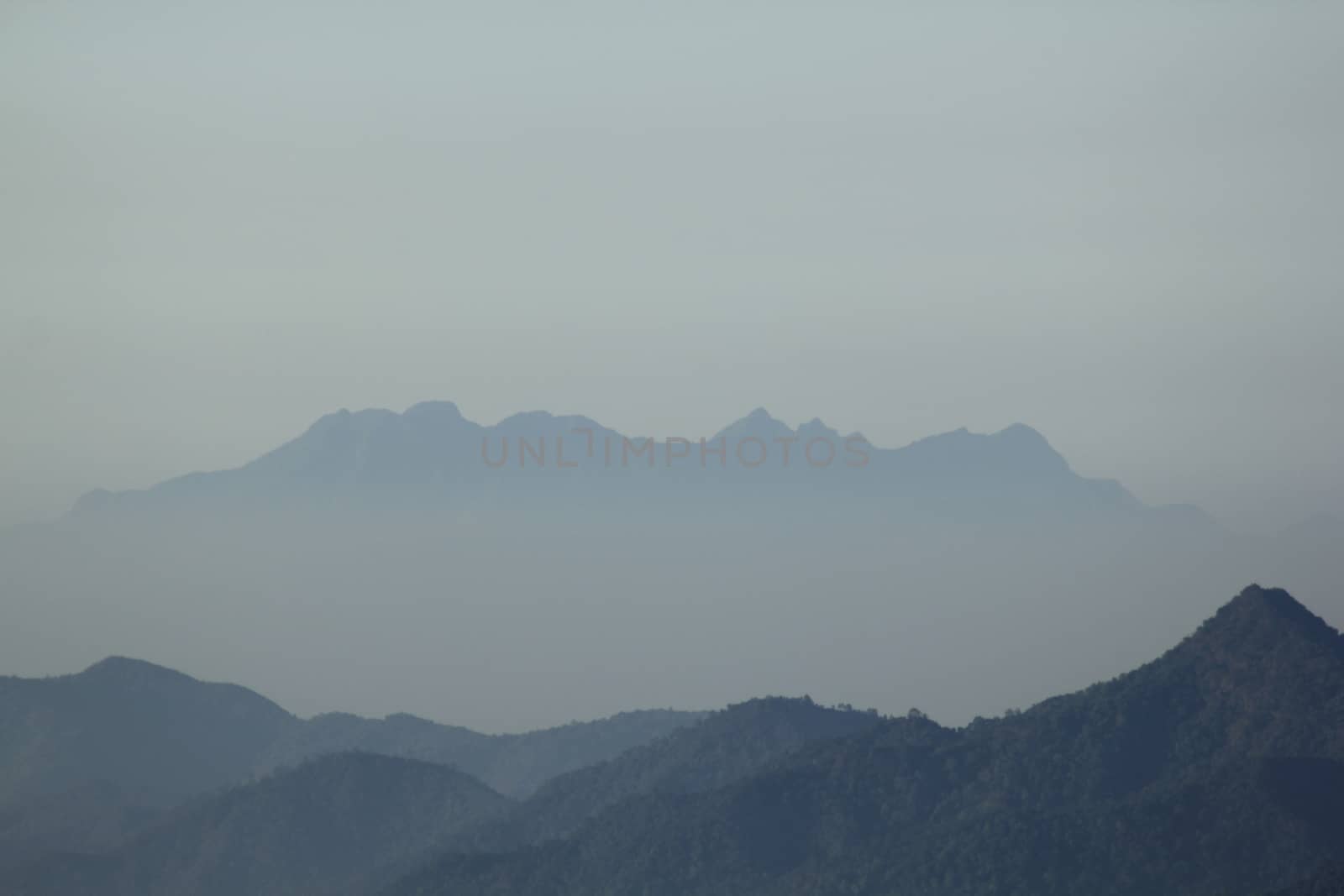 Misty morning in the mountains hight in nature