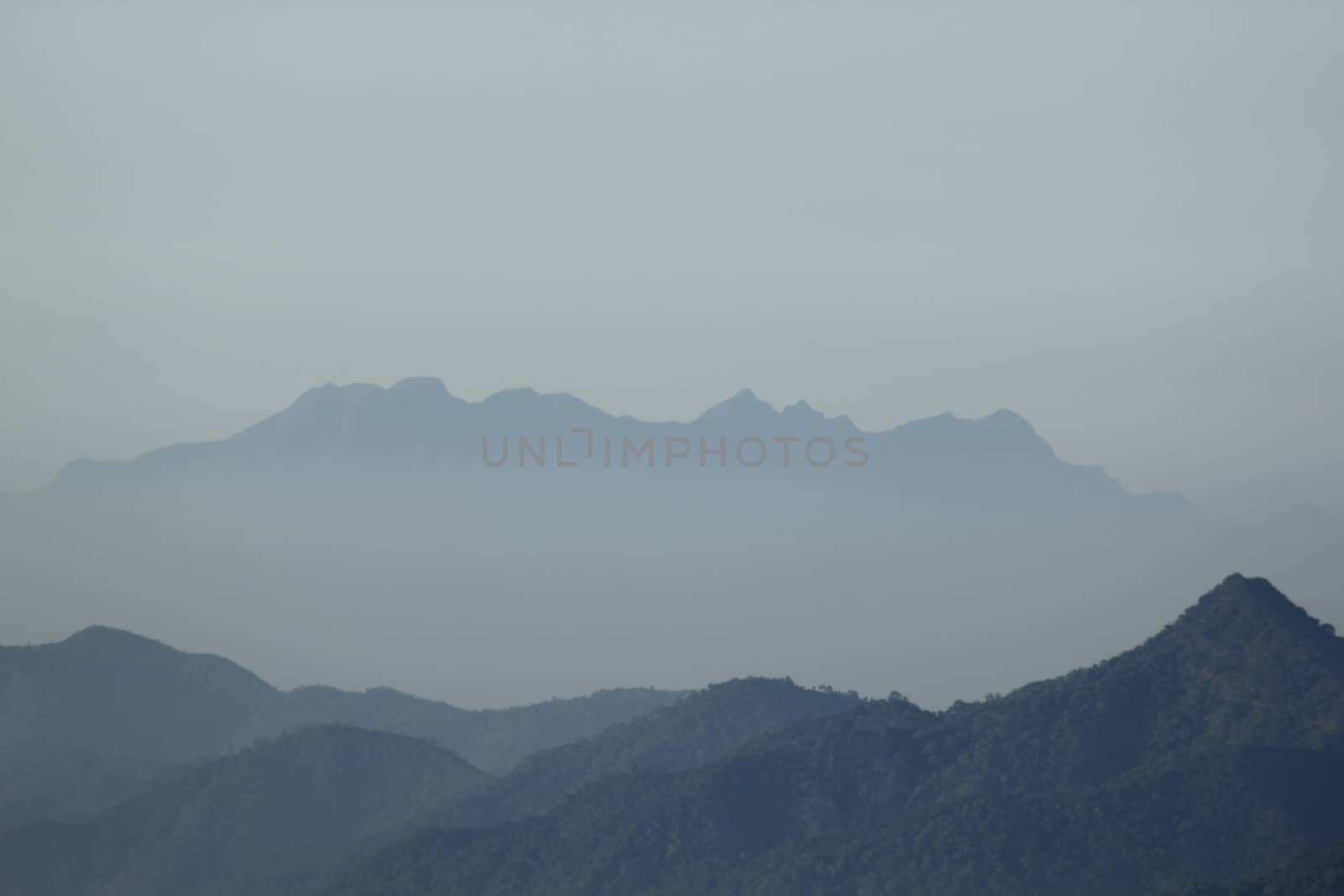 Misty morning in the mountains hight in nature