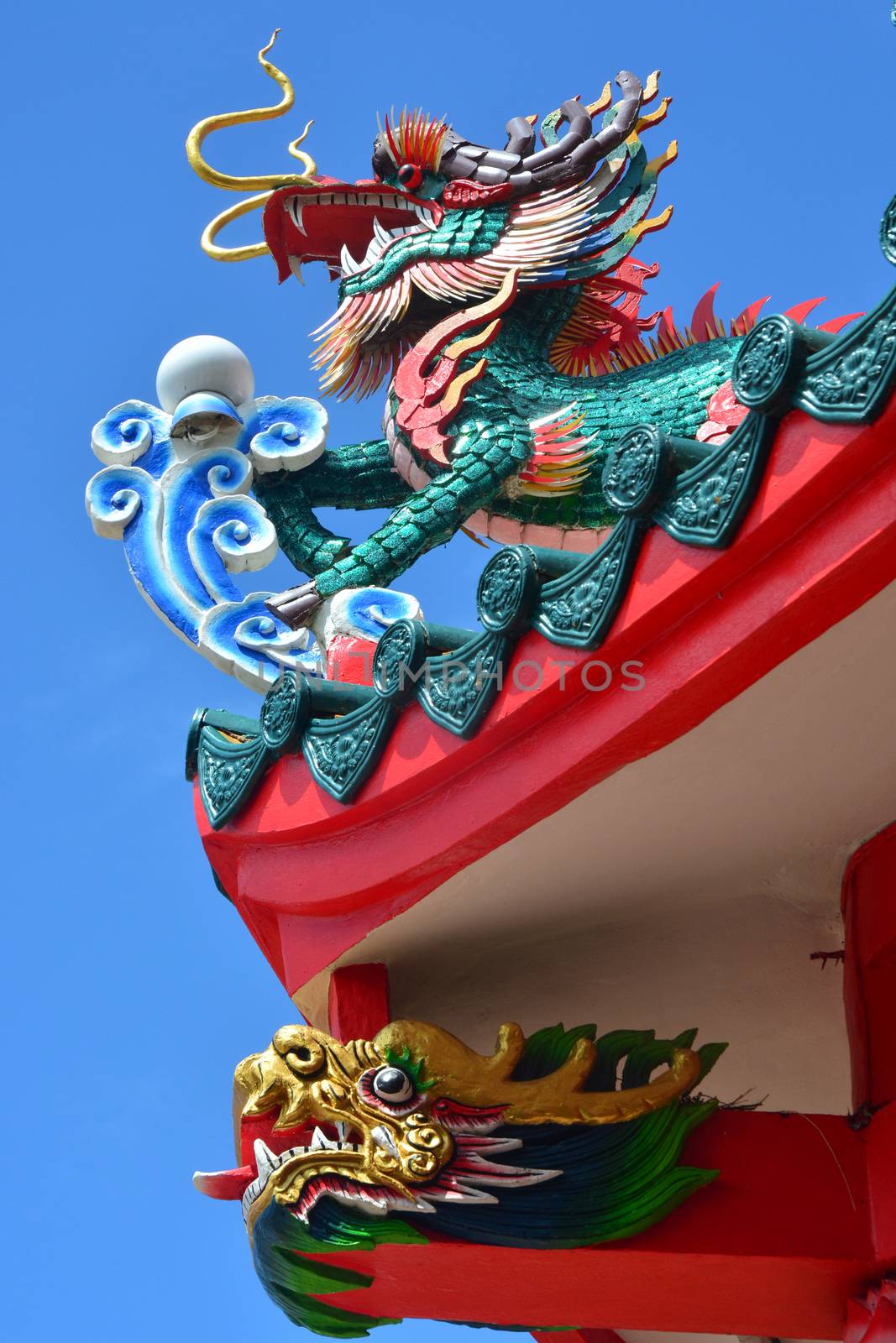 Chinese dragons 