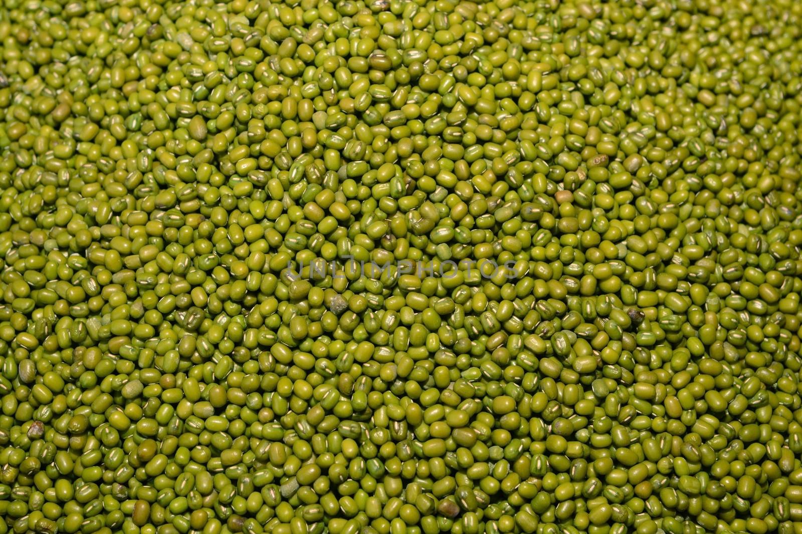 Green bean or mung bean background