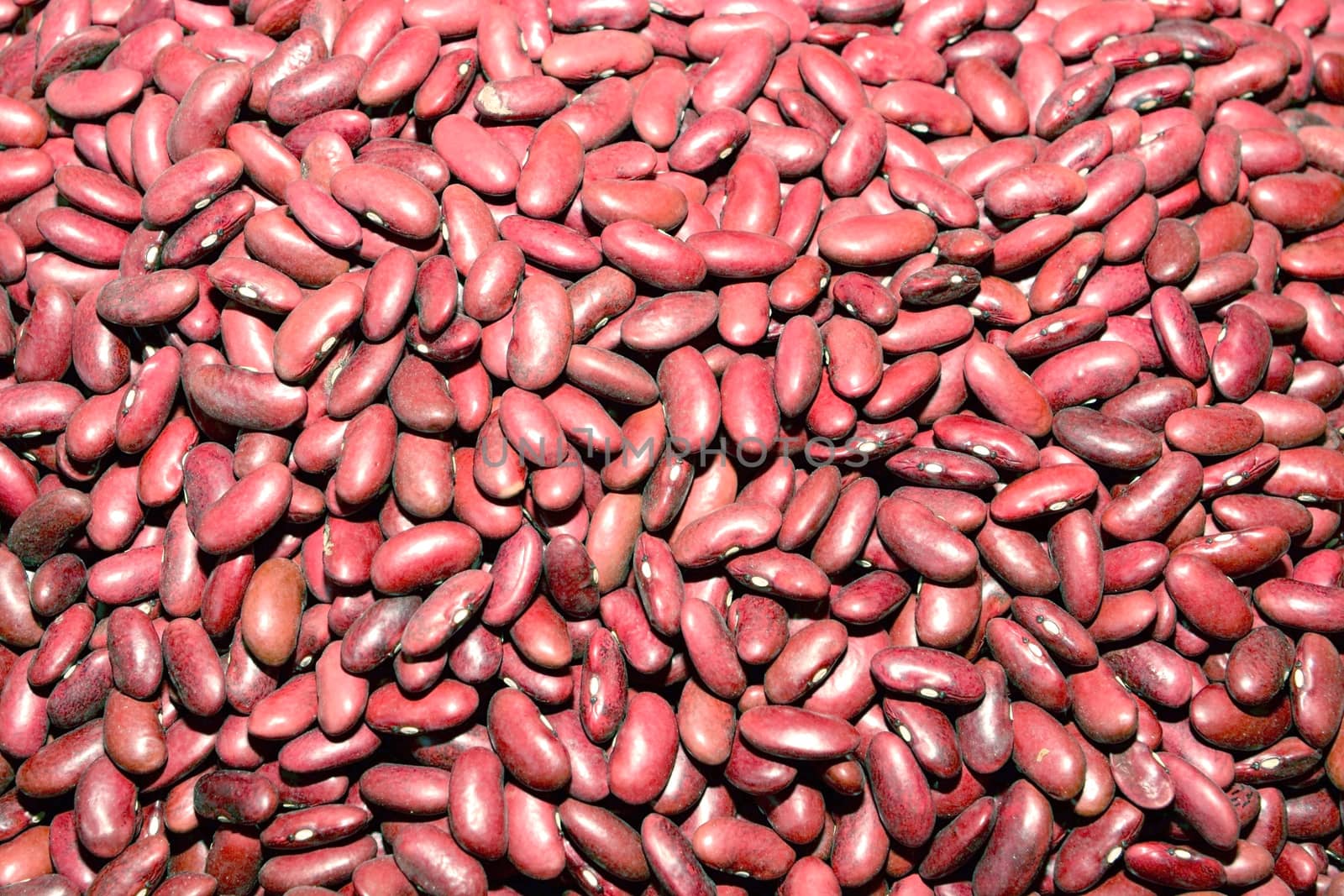 Red kidney beans background
