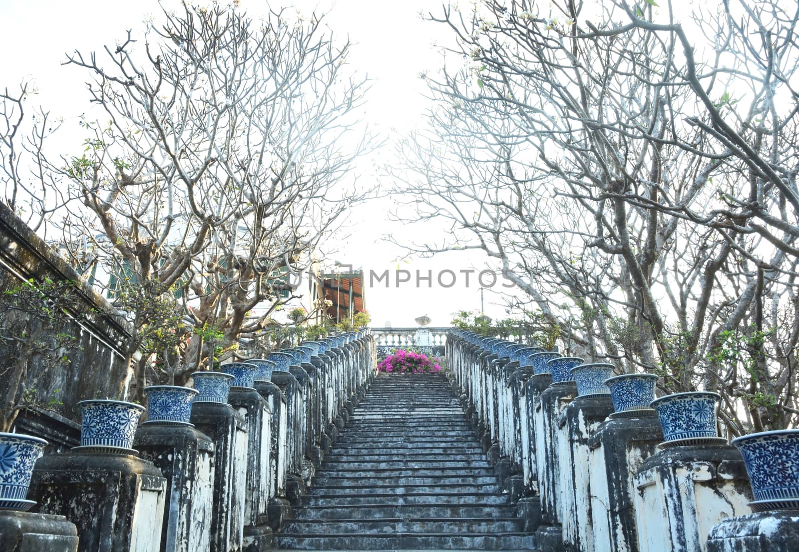 Old staircase among nature