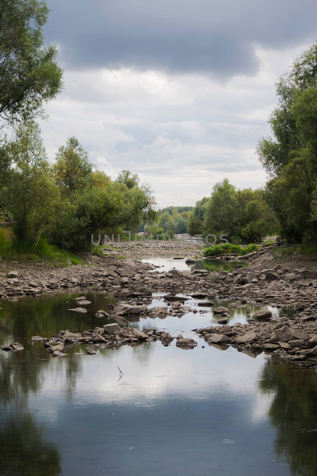 Landscape by the river against the backdrop of the forest on a summer day.