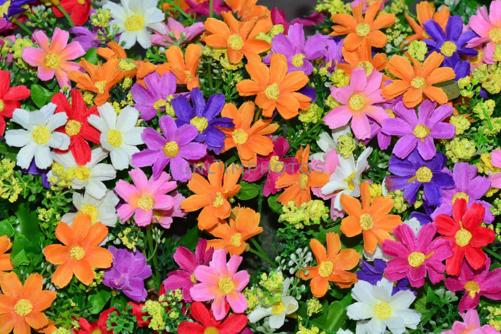 Beautiful colorful flowers background.