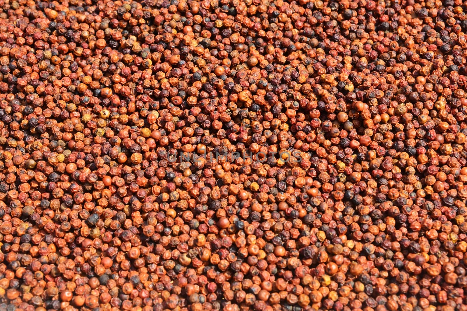 Organic Black pepper (Red) closeup background texture. * * note deep of field 