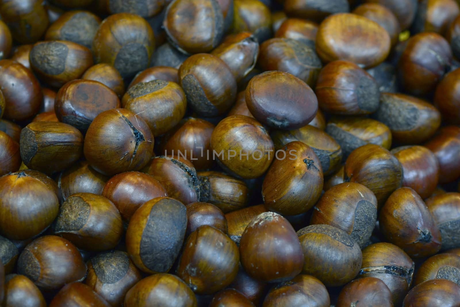 Group of edible chestnuts