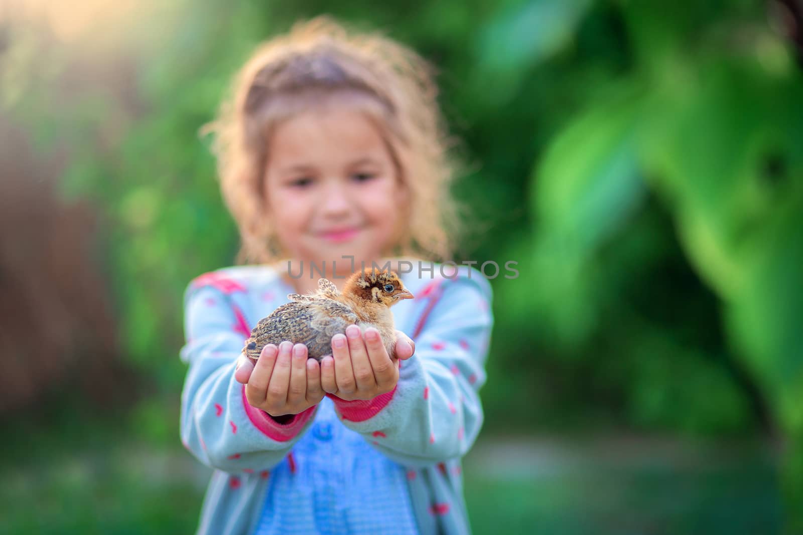 A little girl stretches forward on the arms of a little chicken. Caring for the animals. Poultry farming by borisenkoket