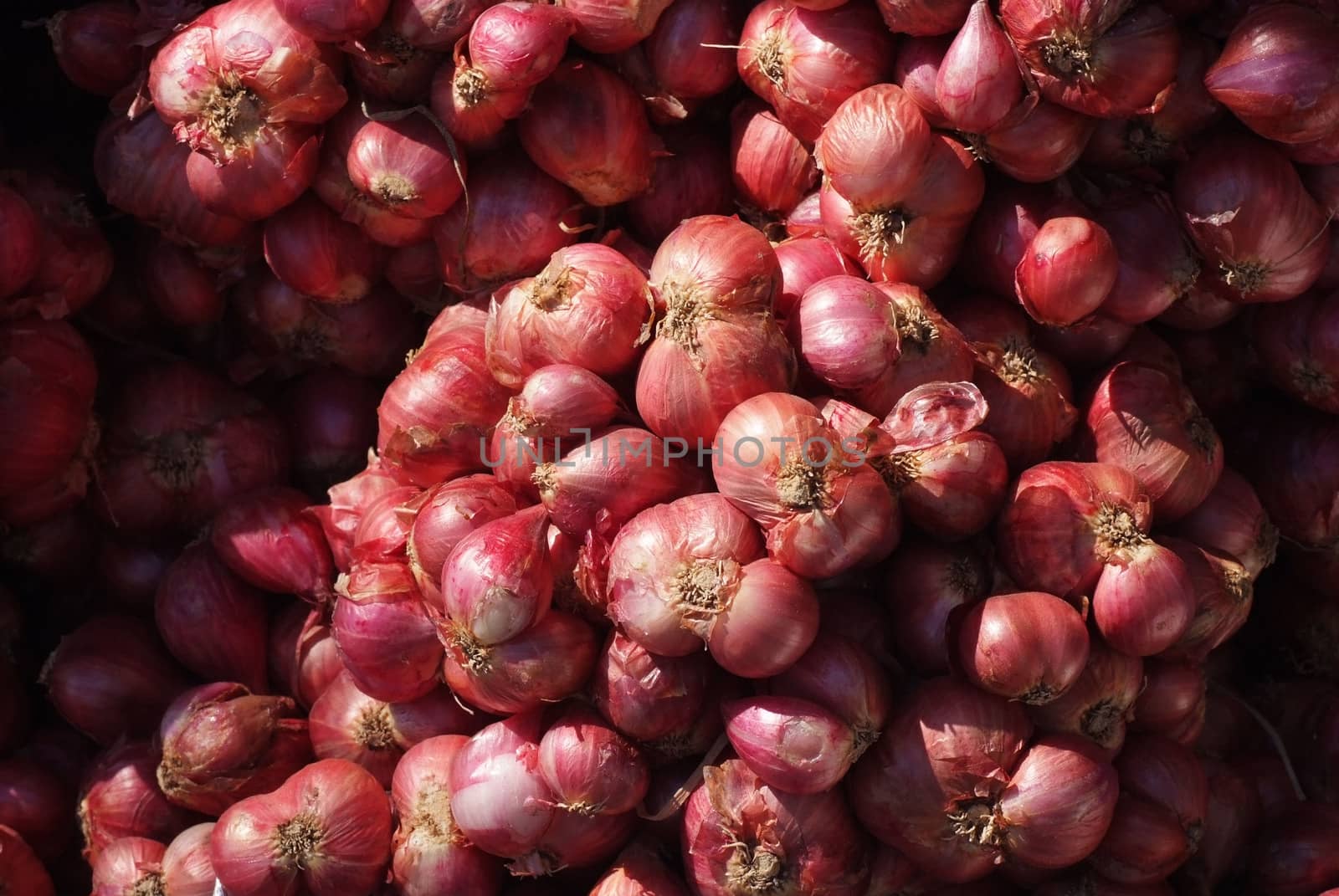 many shallots group background in market Thailand