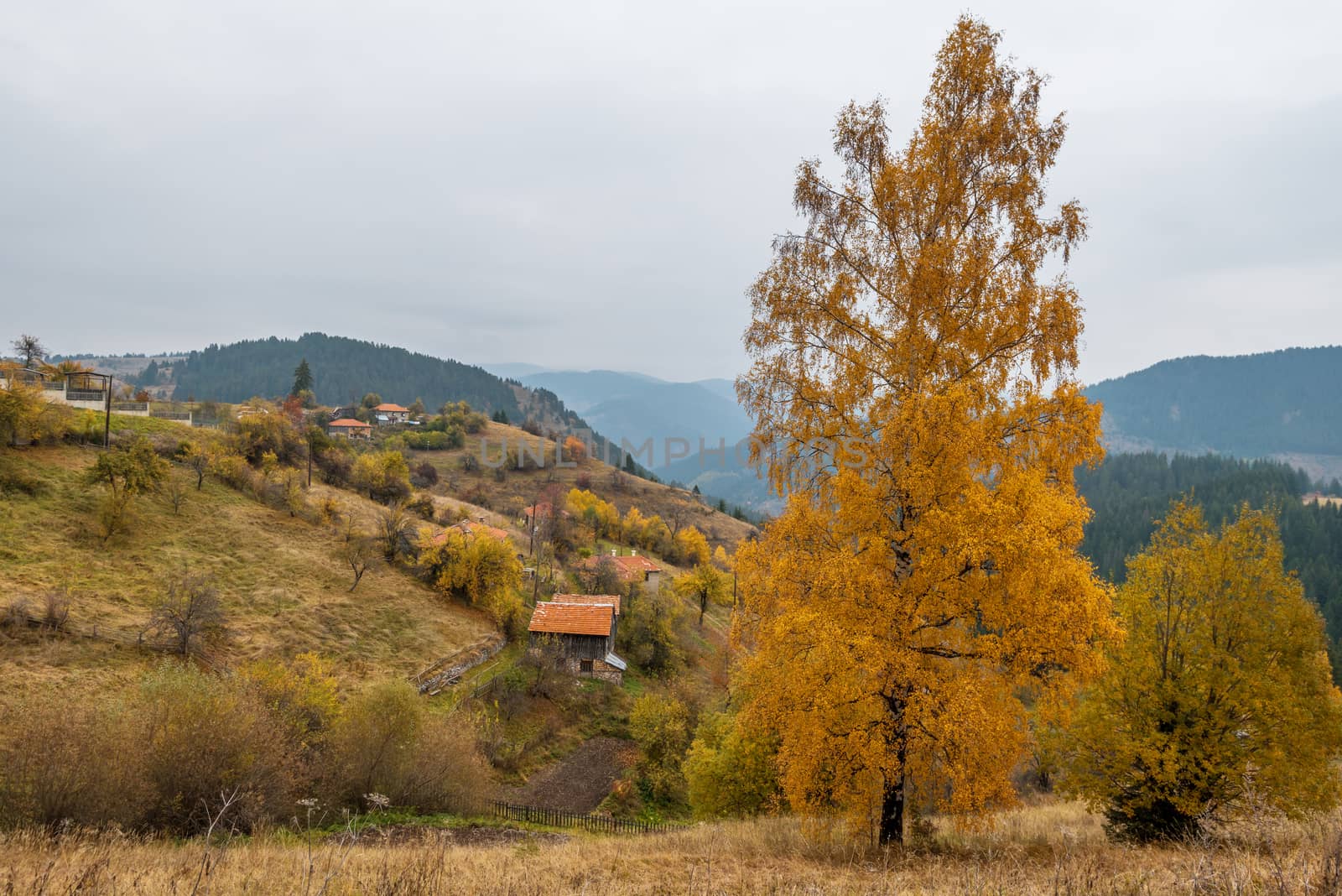 Autumn in the Rhodope Mountains, Bulgaria. Early morning.