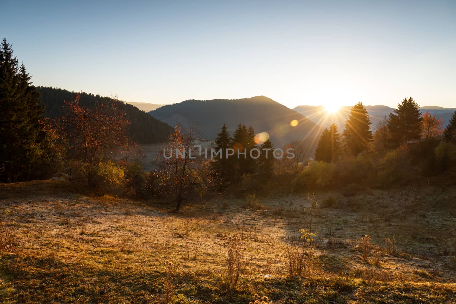 Autumn Landscape. Fall Scene.Trees and Leaves in Sunlight Rays.
