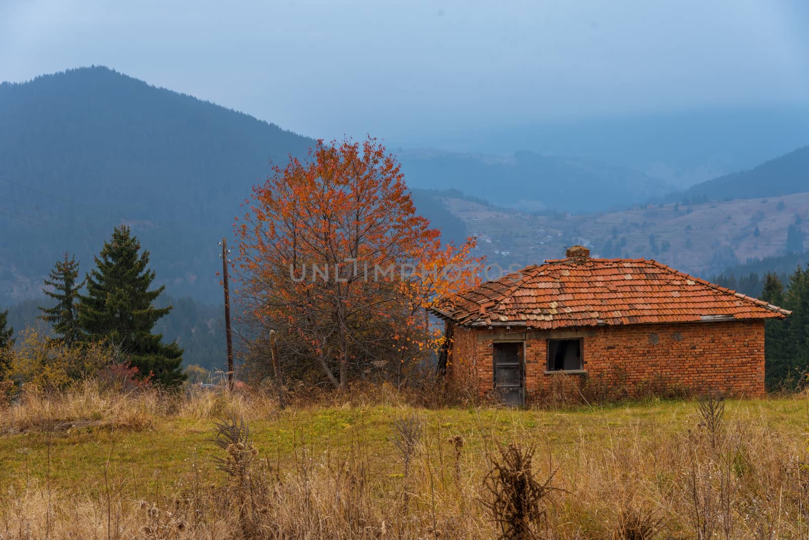 Autumn in the Rhodope Mountains, Bulgaria. Early morning.
