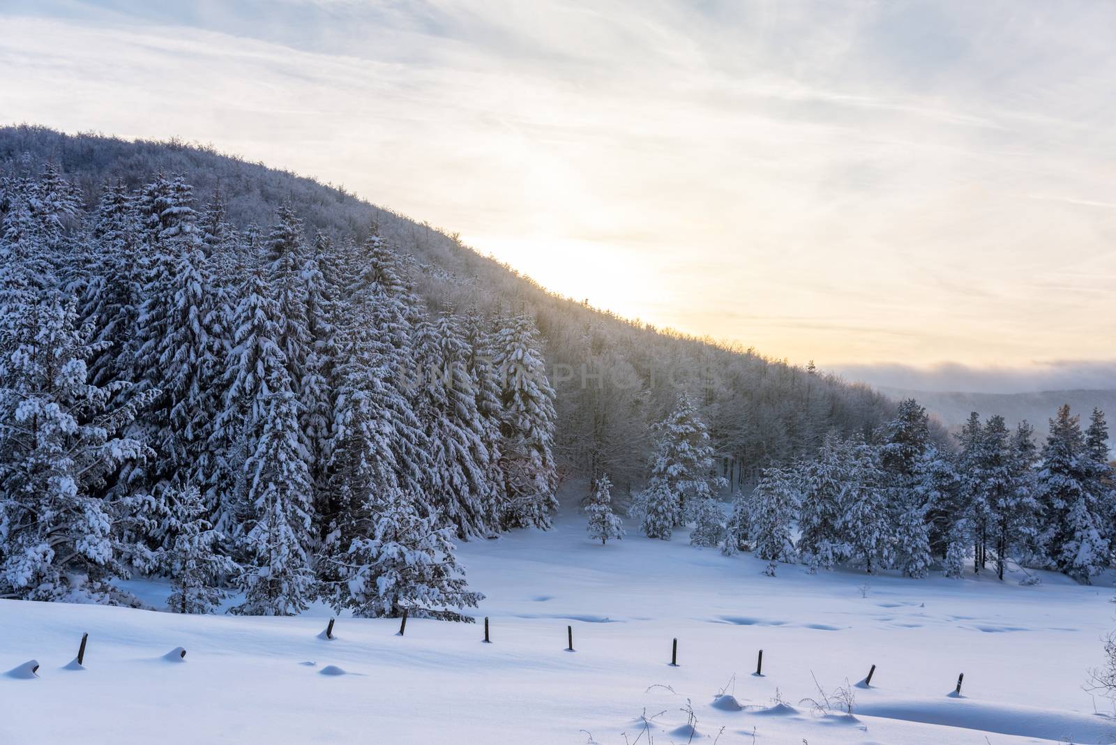 Snowy landscape at sunset, frozen trees in winter in Bulgaria.