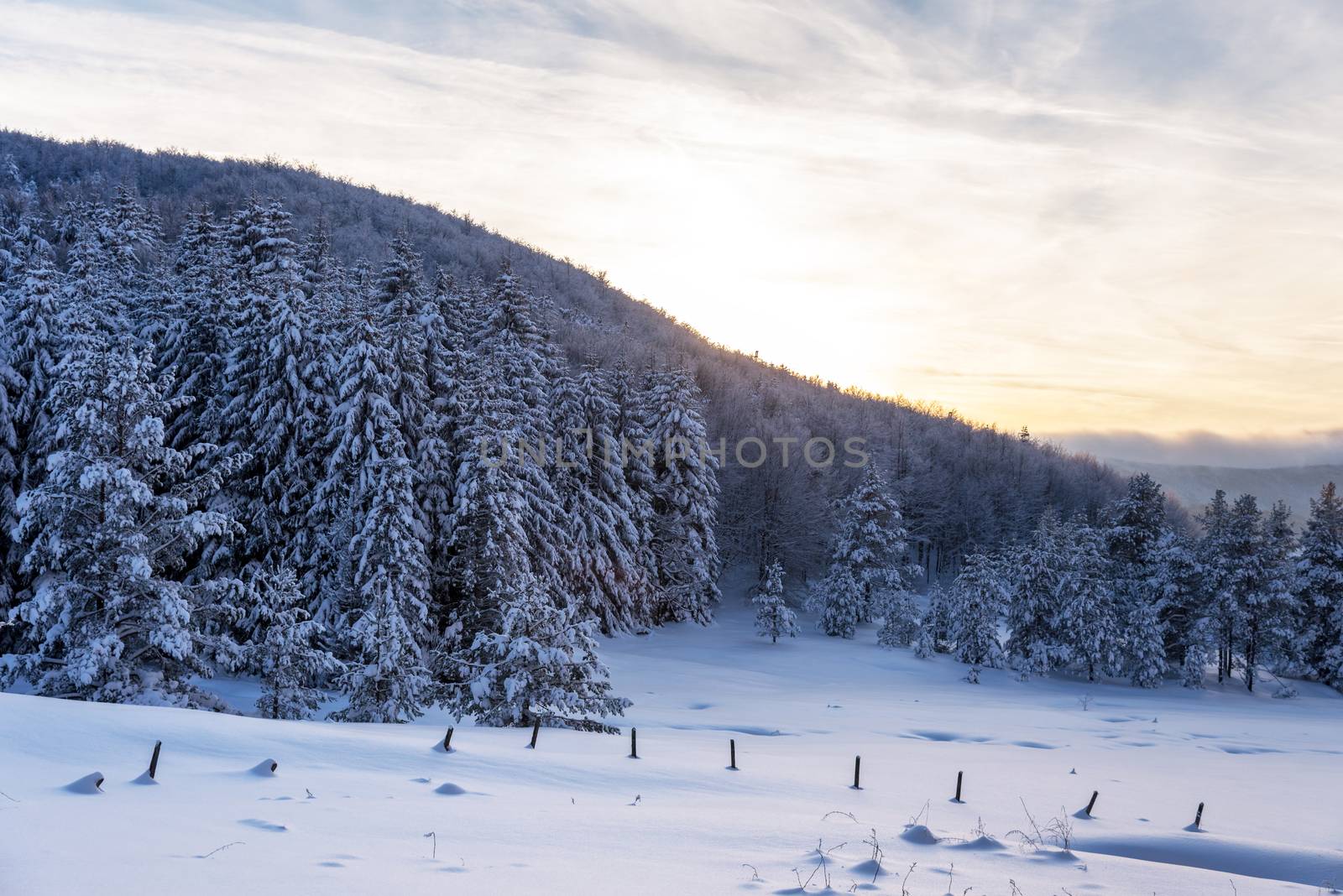 Snowy landscape at sunset, frozen trees in winter in Bulgaria.