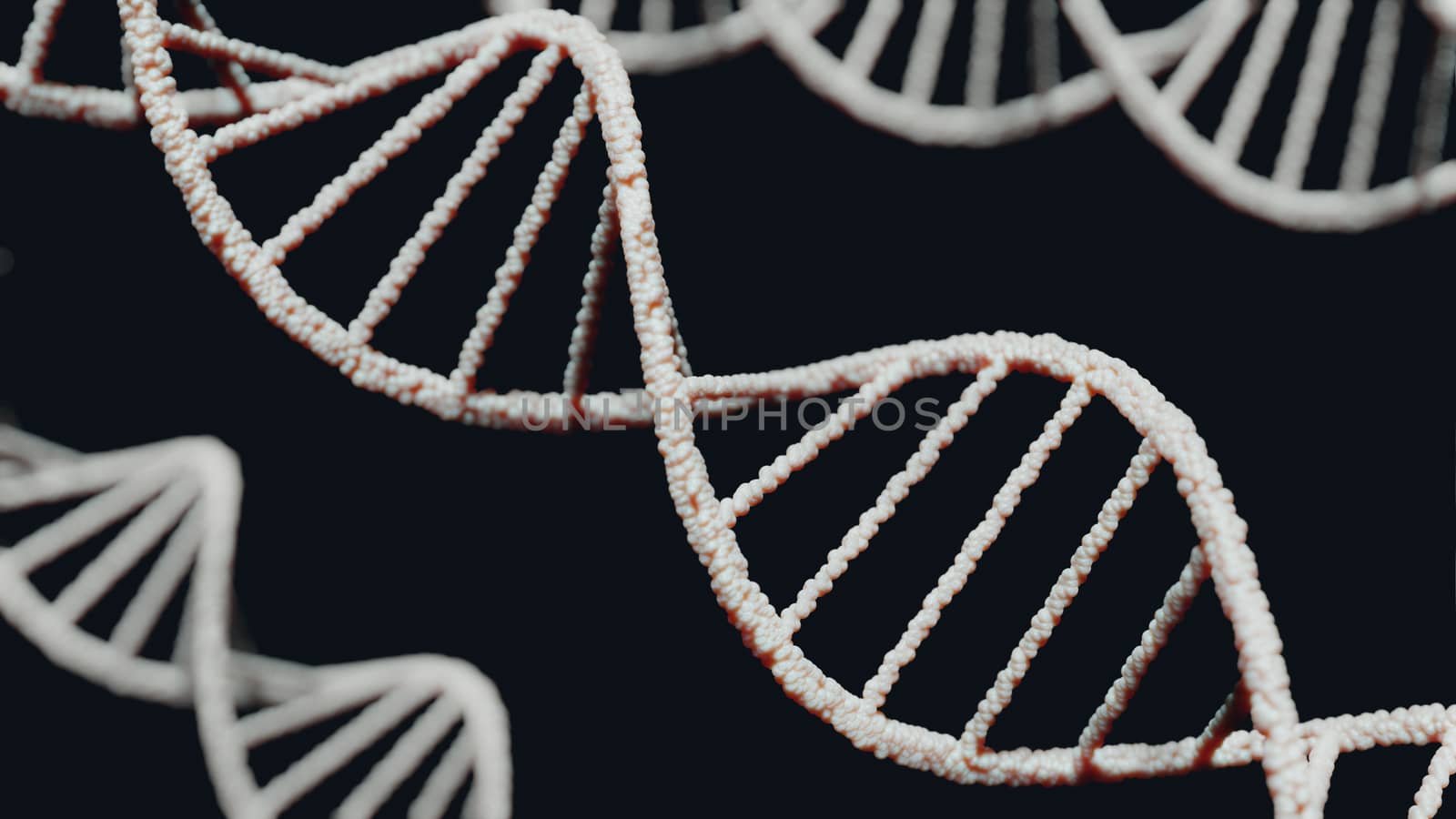DNA molecules on black background 3d render biology concept