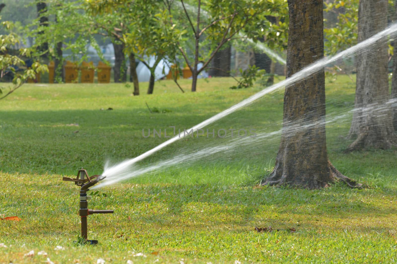 Gardening. Lawn sprinkler spraying water over green grass. Irrigation system - technique of watering in the garden.