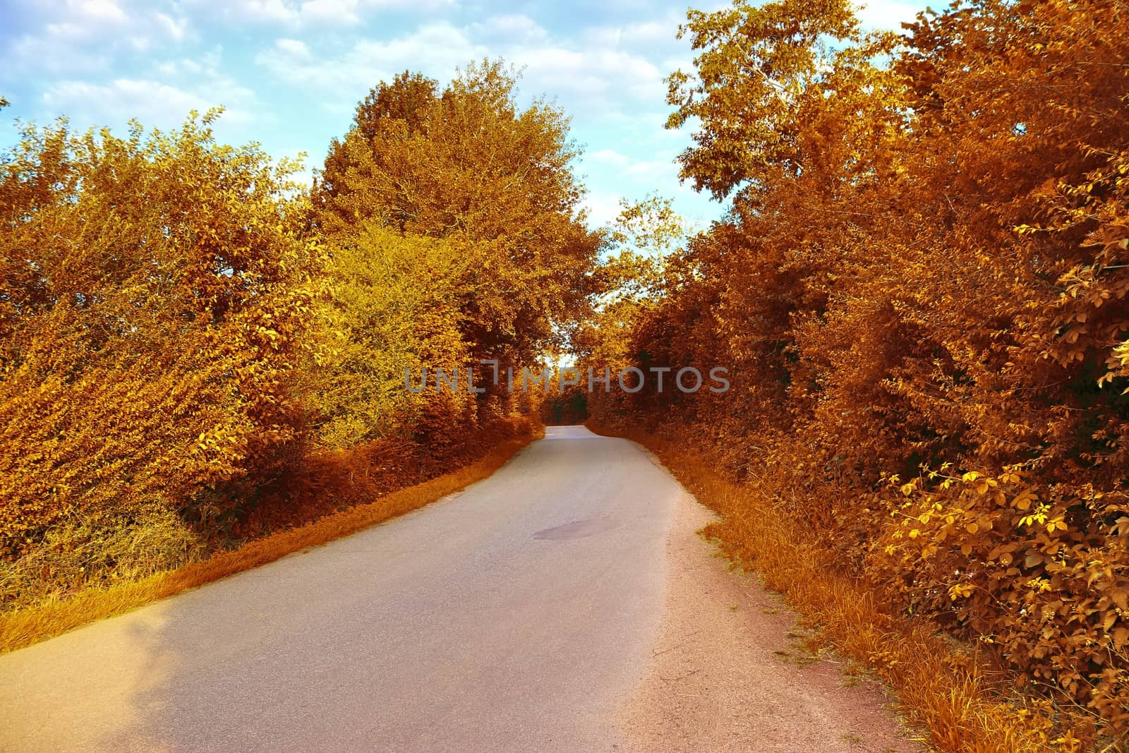 Beautiful panorama view on a golden autumn landscape in the middle of october