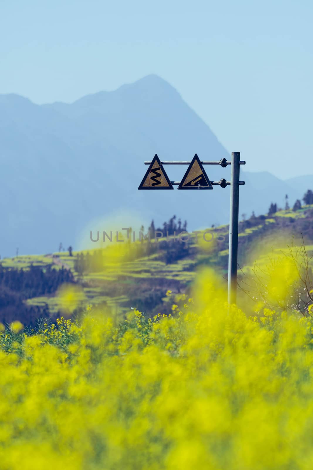 Road signs with Rapeseed flowers at Snail farm Luositian Field in Luoping County, China