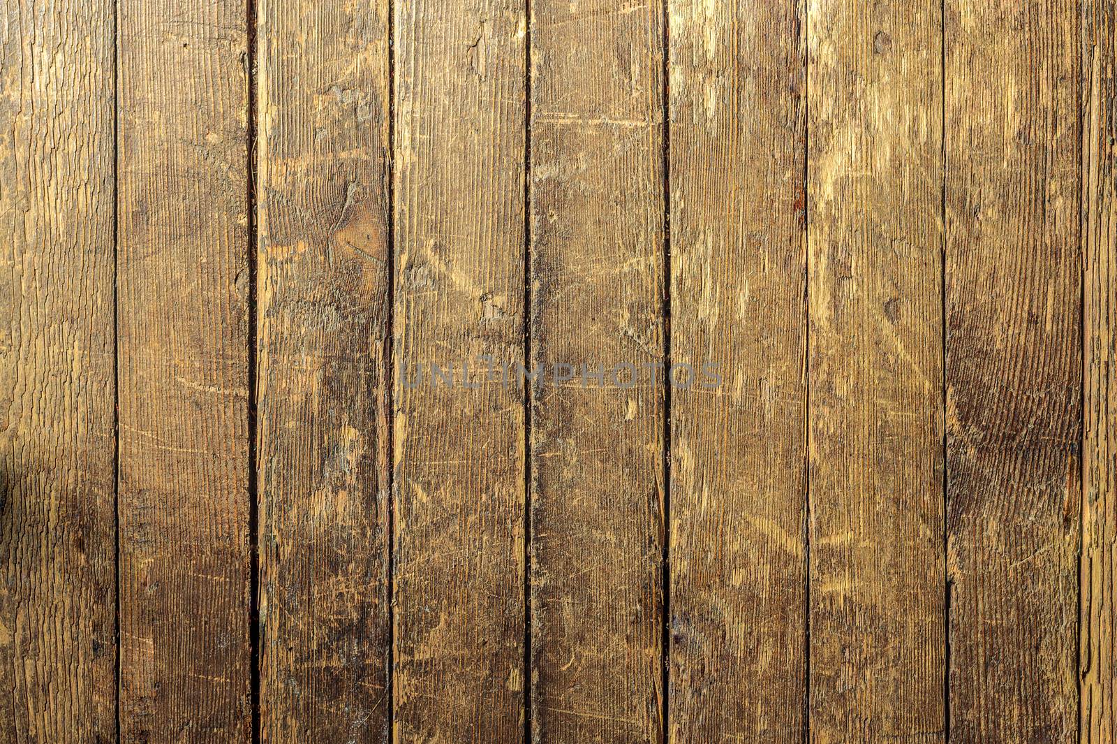 texture background yellow old wooden floor, parquet board by chernobrovin