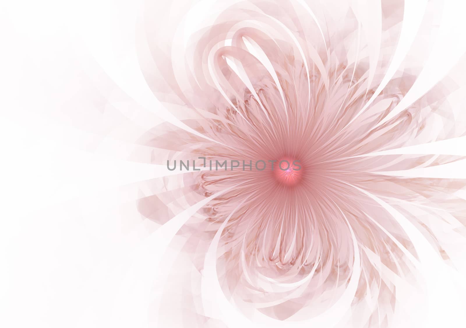 Gentle and soft fractal flowers computer generated image for logo, design concepts, web, prints, posters. Flower background