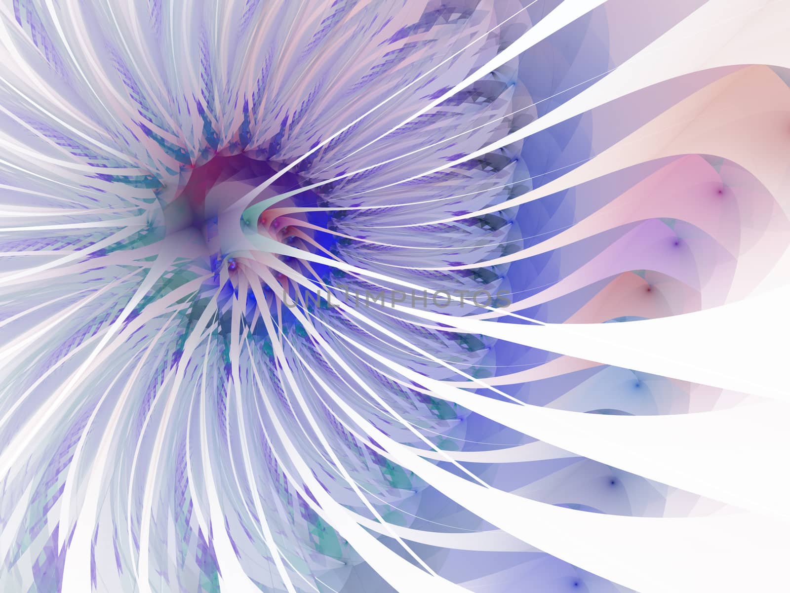 Gentle and soft fractal flowers computer generated image for logo, design concepts, web, prints, posters. Flower background