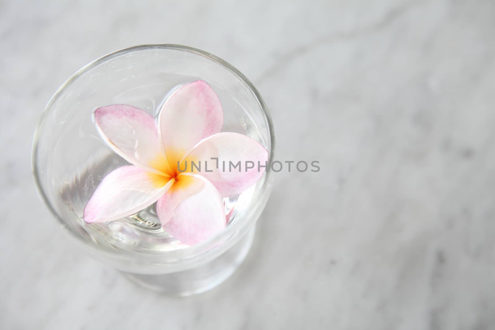 Spring pink flower on water by piyato