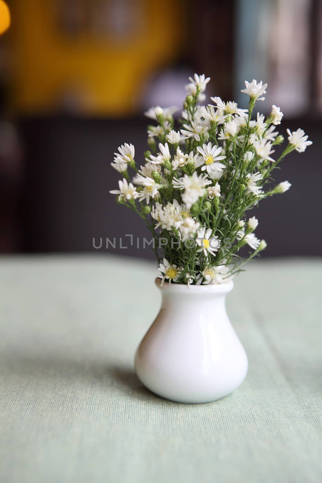 flower in jar by piyato