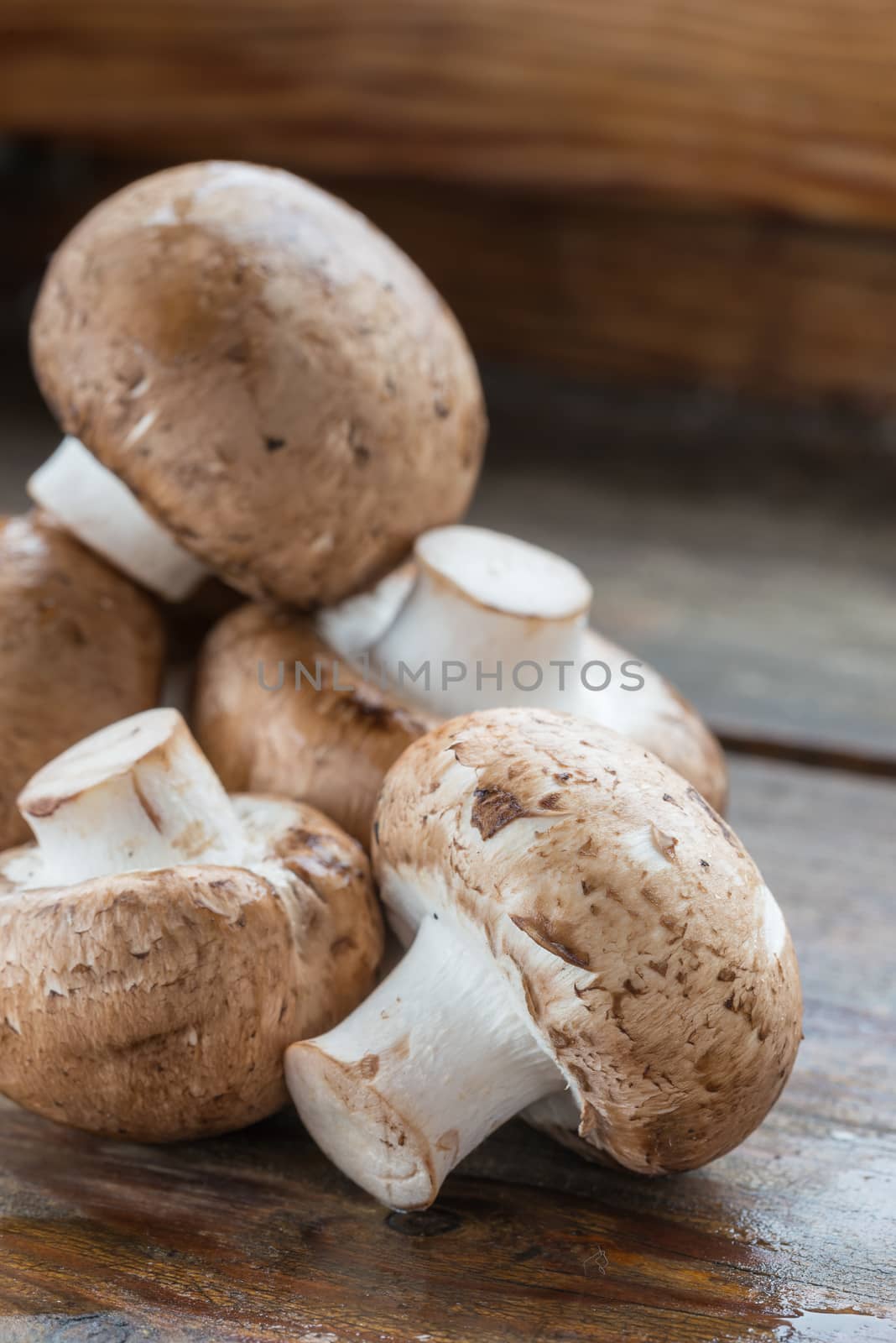 Closeup of fresh brown champignons mushrooms, Agaricus bisporus, on wood