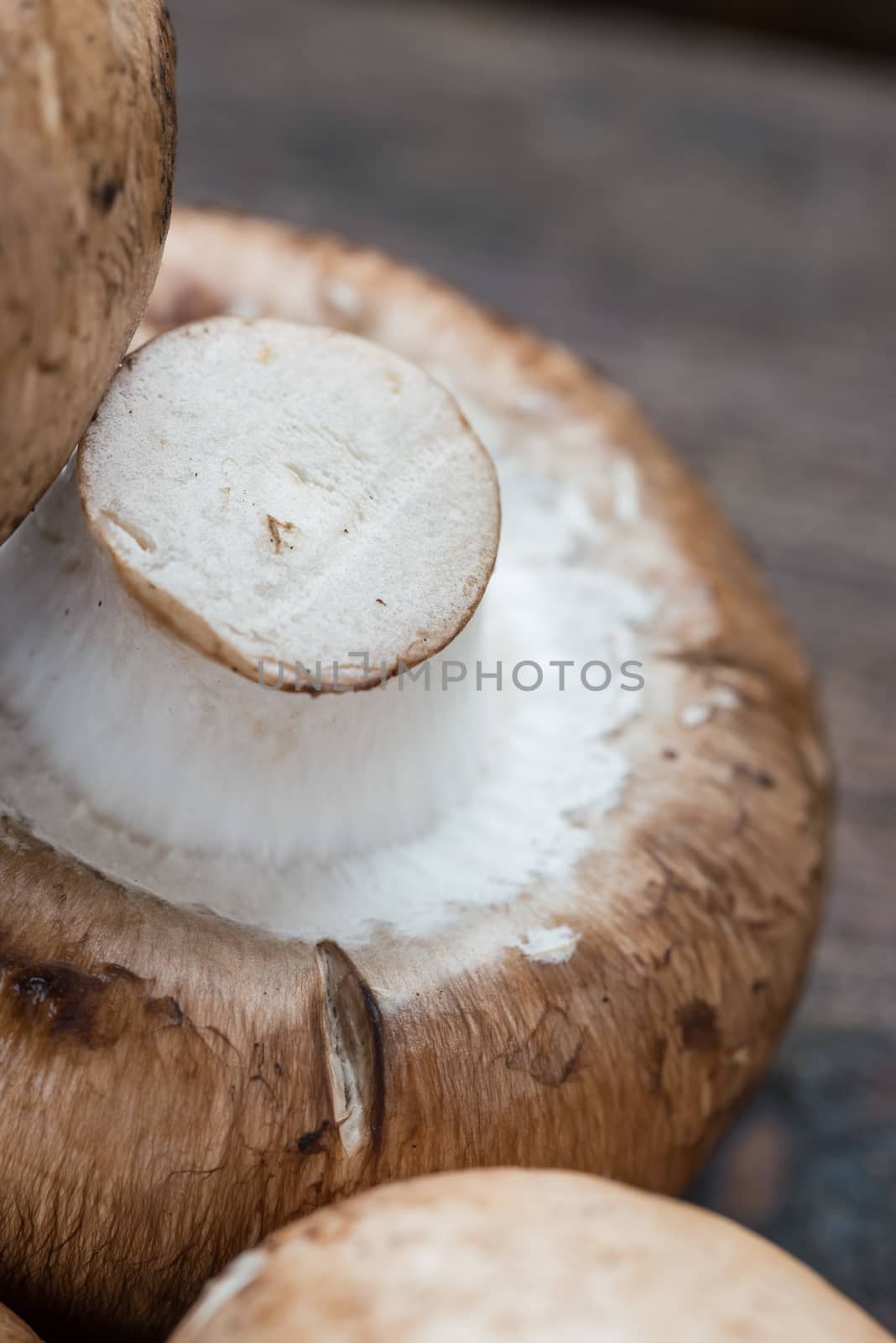 Macro of fresh brown champignons mushrooms, Agaricus bisporus, on wood