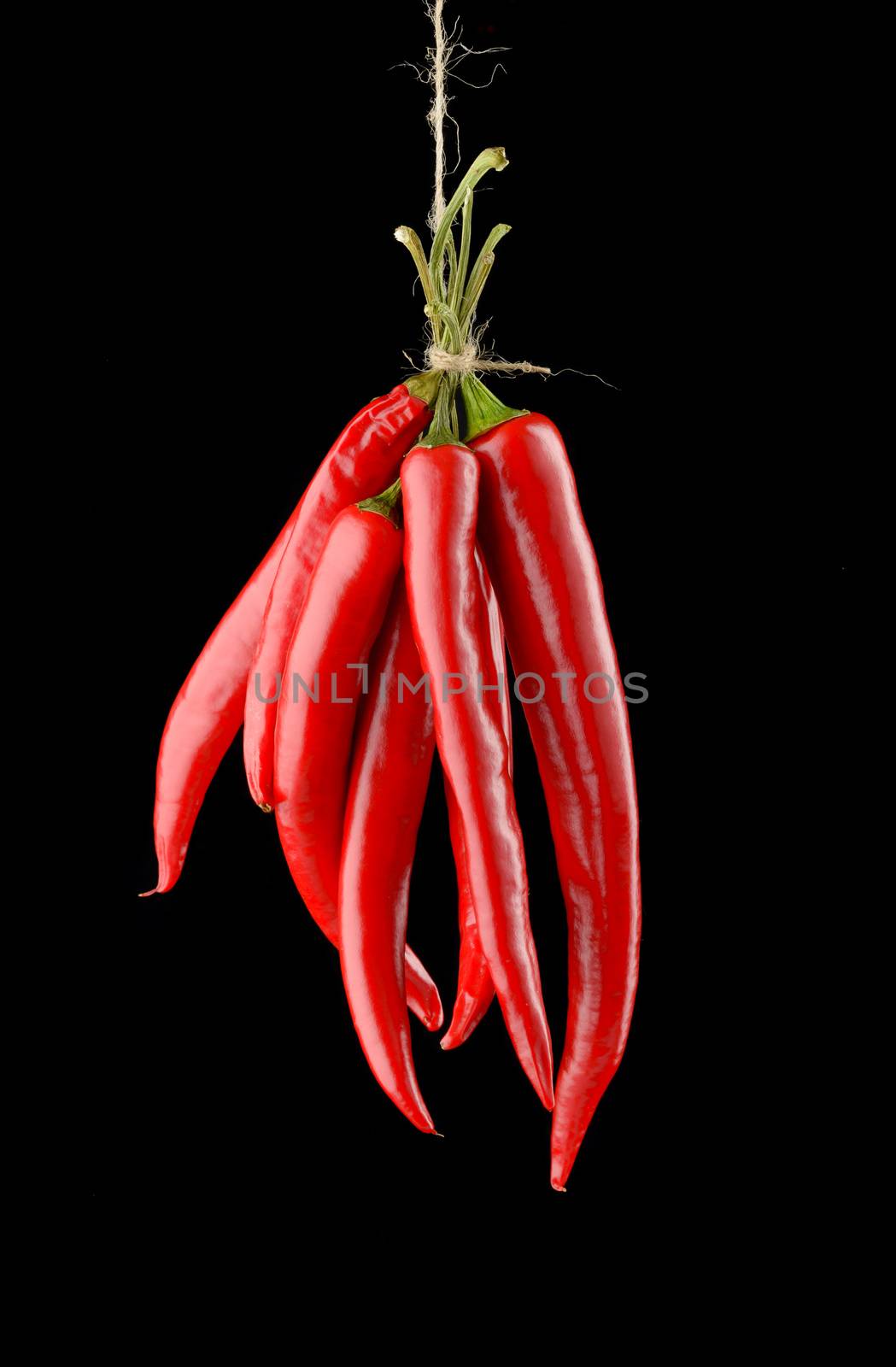 Hanged hot red chili peppers isolated on black background