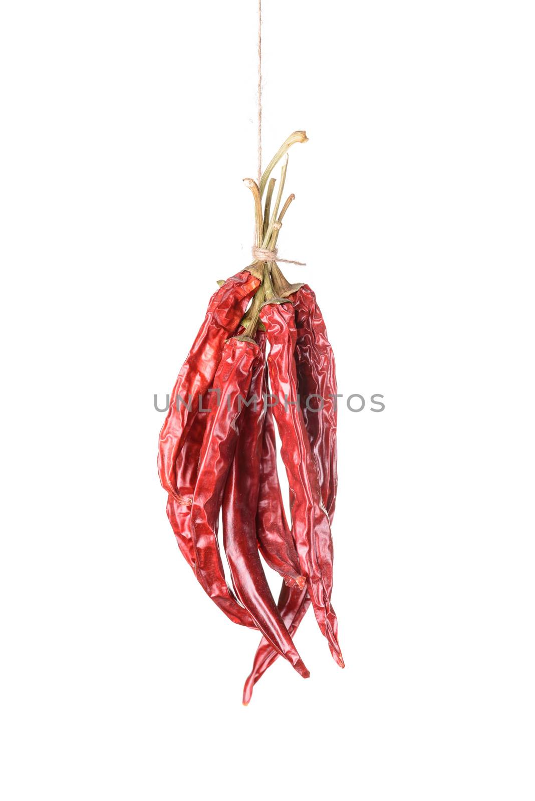 Hanged dry and sear hot red chili peppers isolated on white background