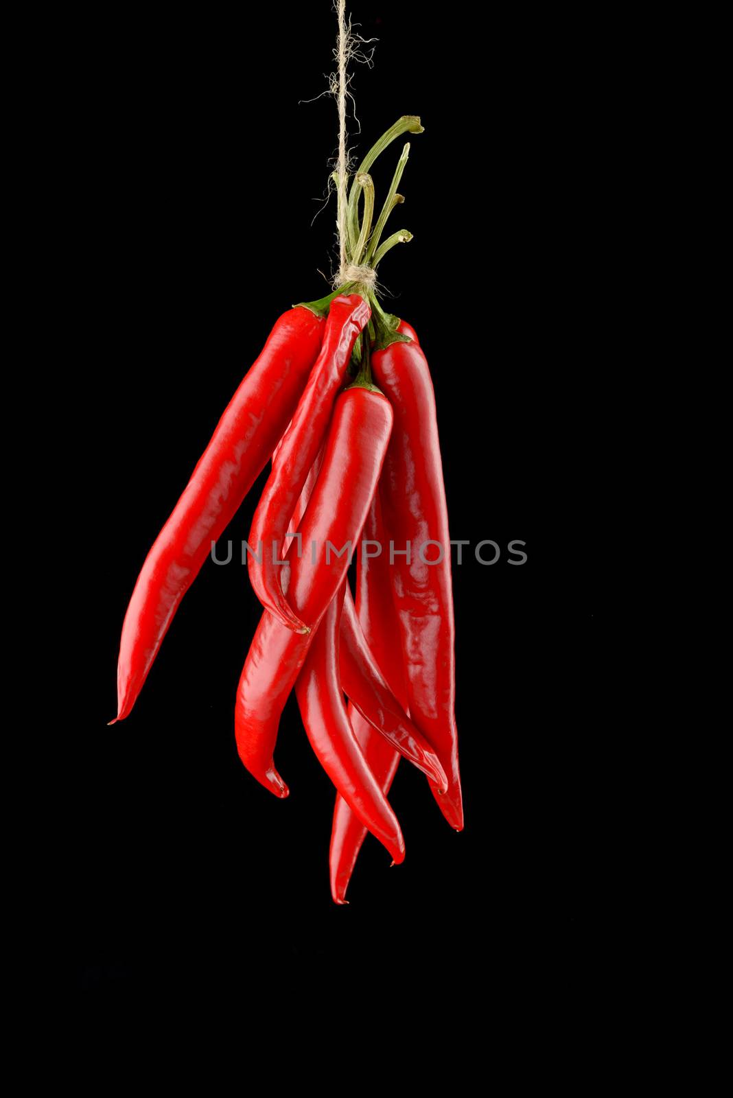 Hanged hot red chili peppers isolated on black background