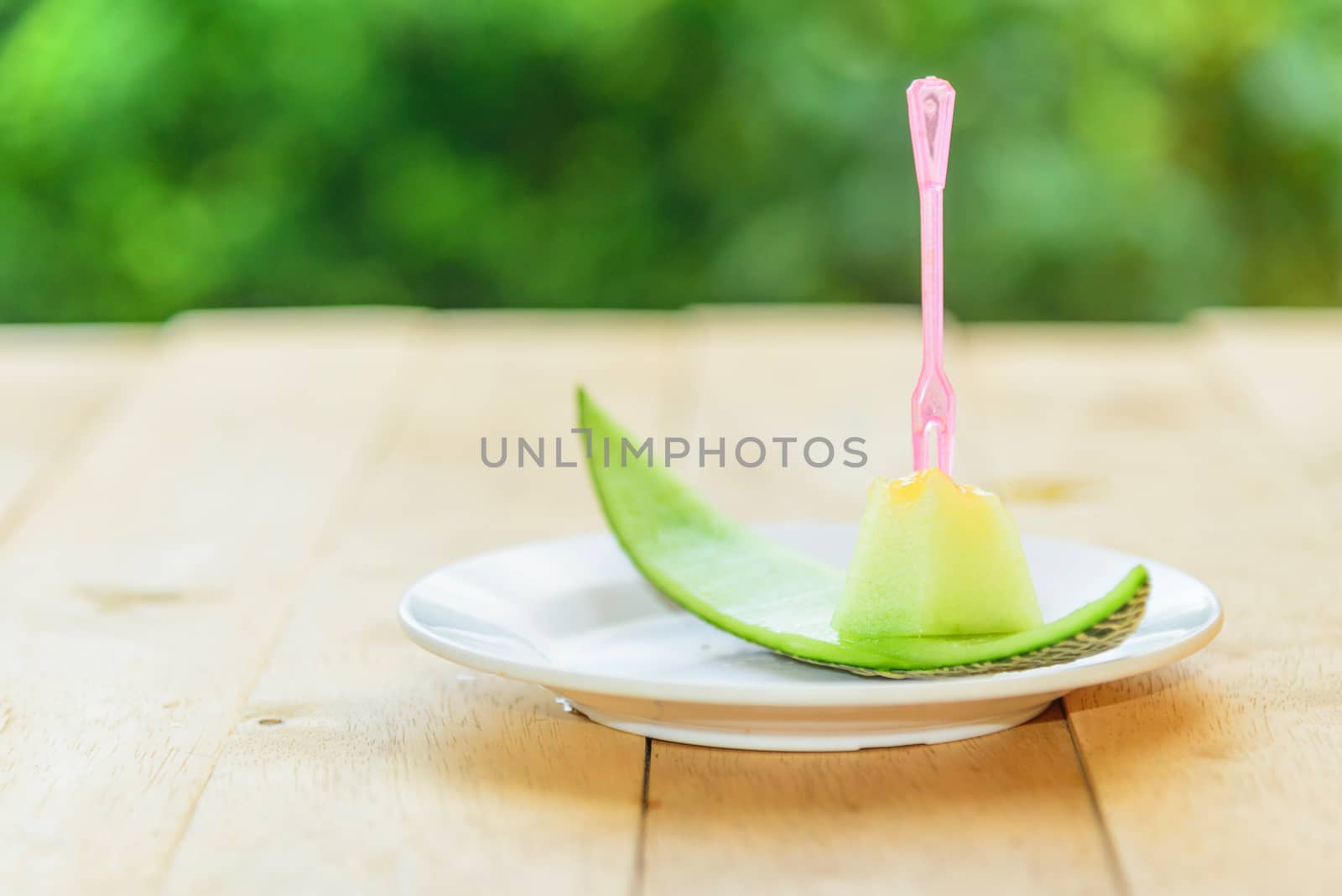 a piece of fresh green melon in dish