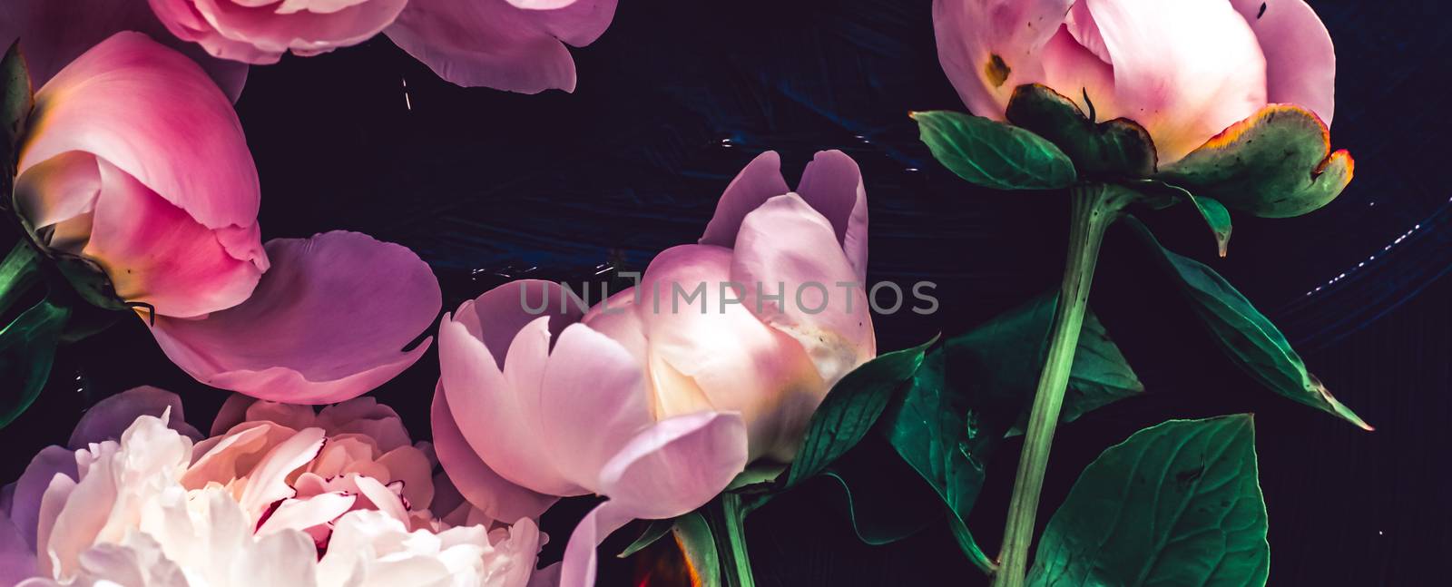 Pink peony flowers as floral art background, botanical flatlay and luxury branding design