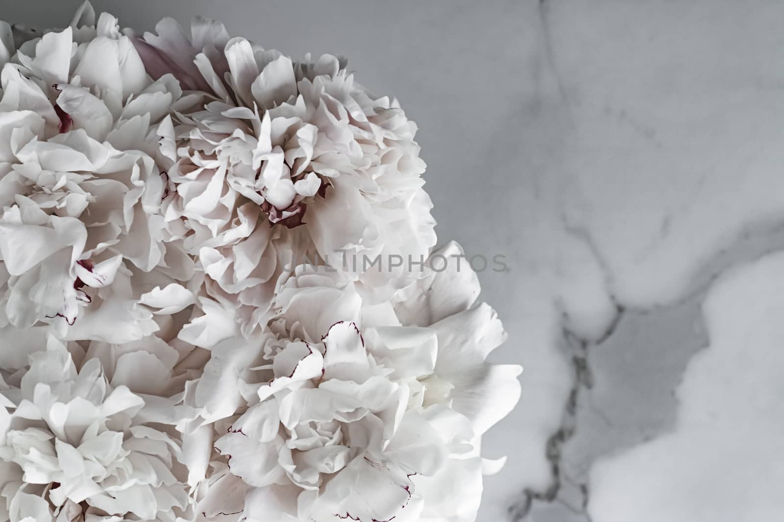 Bouquet of peony flowers as luxury floral background, wedding decoration and event branding by Anneleven