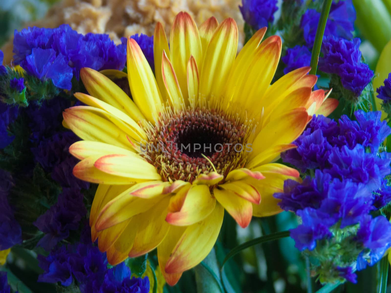 bouquet flower
