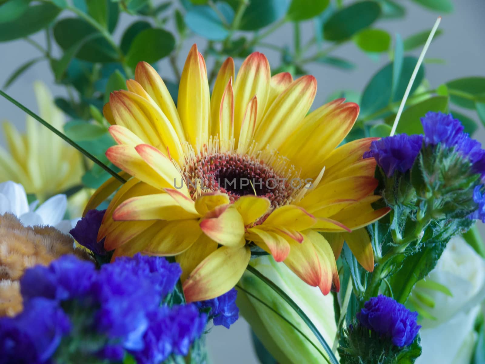 bouquet flower
