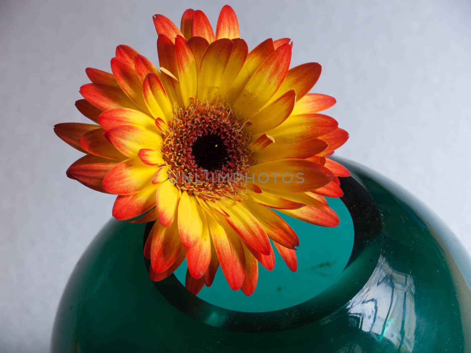 bouquet flower