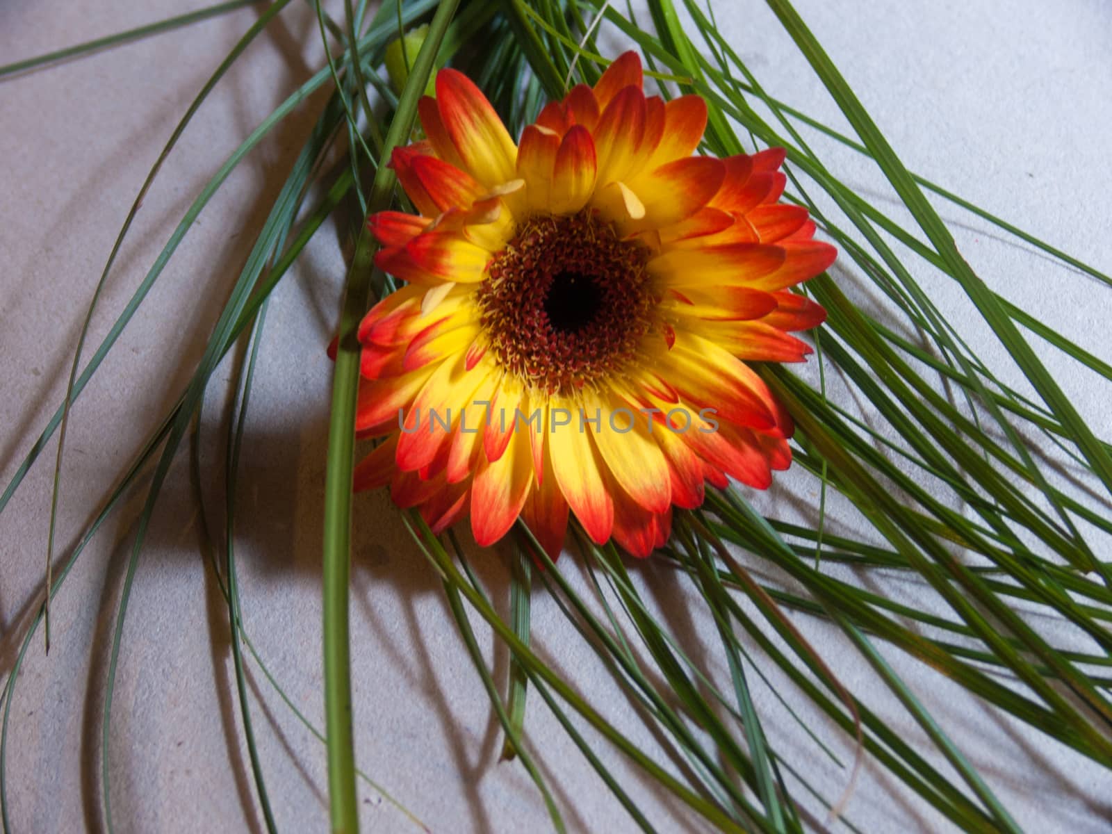 bouquet flower
