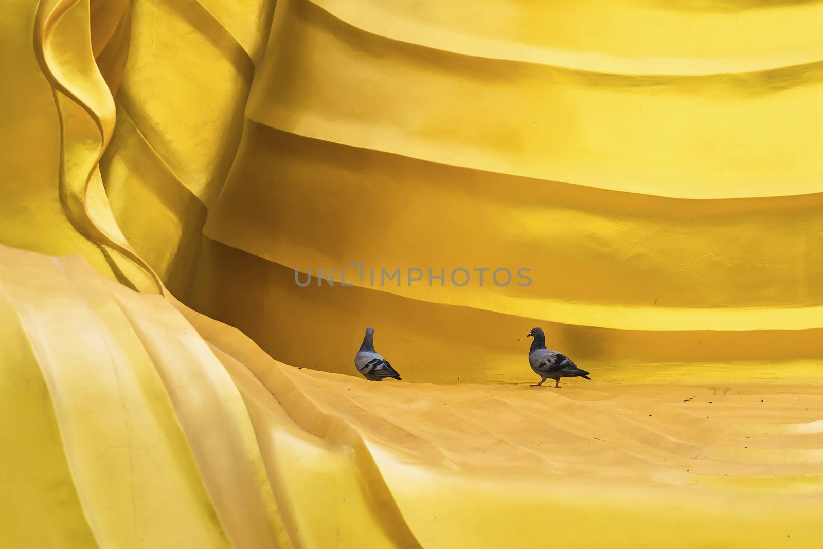 Two pigeons walking on Big Buddha standing of Chareon Rat Bamrung Temple (Nong Phong Nok Temple) the place of faith in Thailand