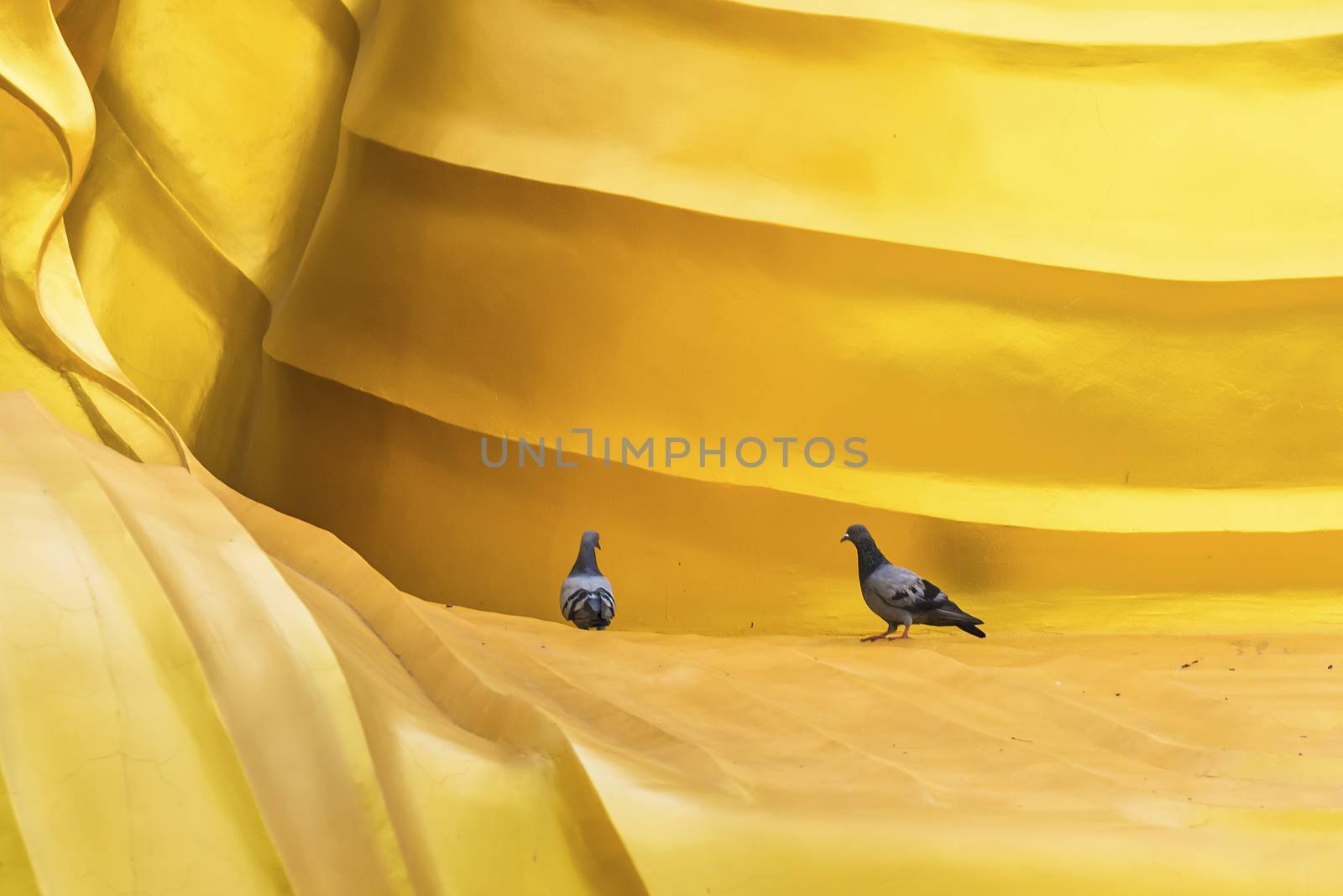Two pigeons walking on Big Buddha standing of Chareon Rat Bamrung Temple (Nong Phong Nok Temple) the place of faith in Thailand