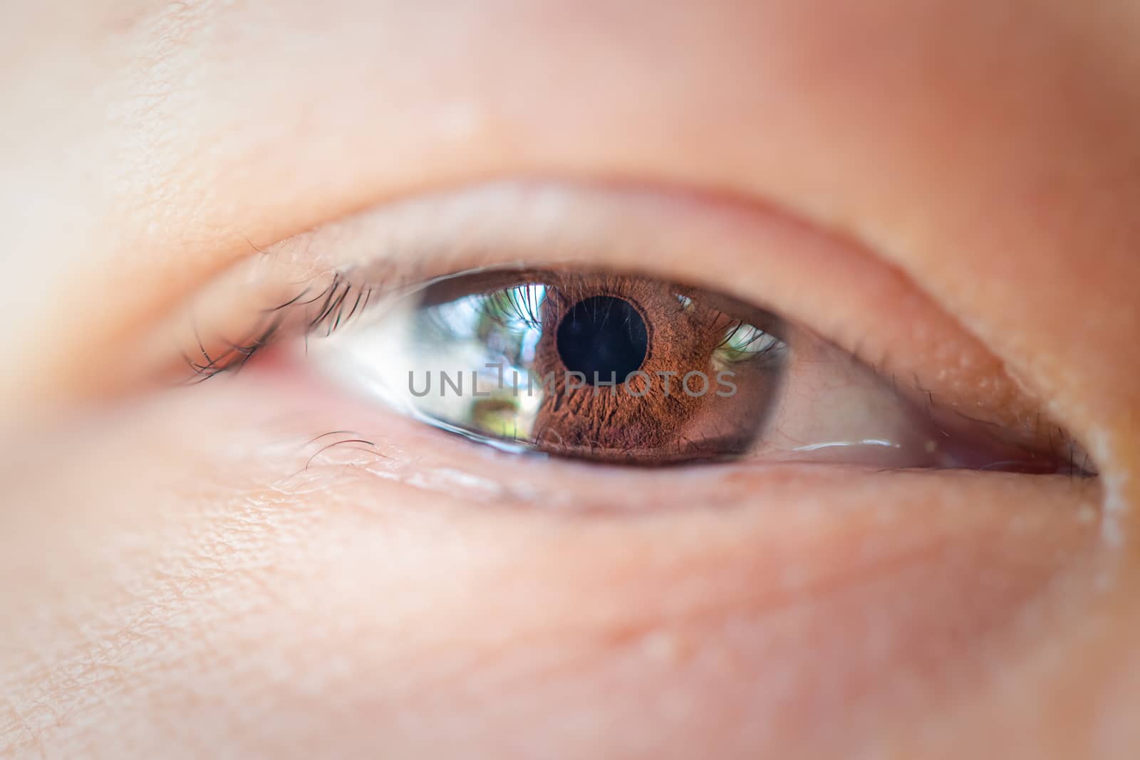 Macro of eye or eyeball black color of asian woman with eyebrow, eyelash and eyelid in concept eye health and vision in life