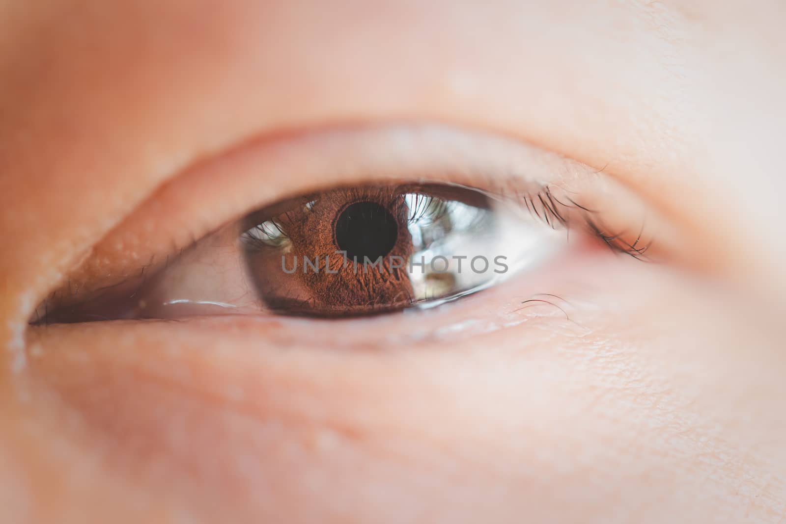 Macro of eye or eyeball black color of asian woman with eyebrow, eyelash and eyelid in concept eye health and vision in life