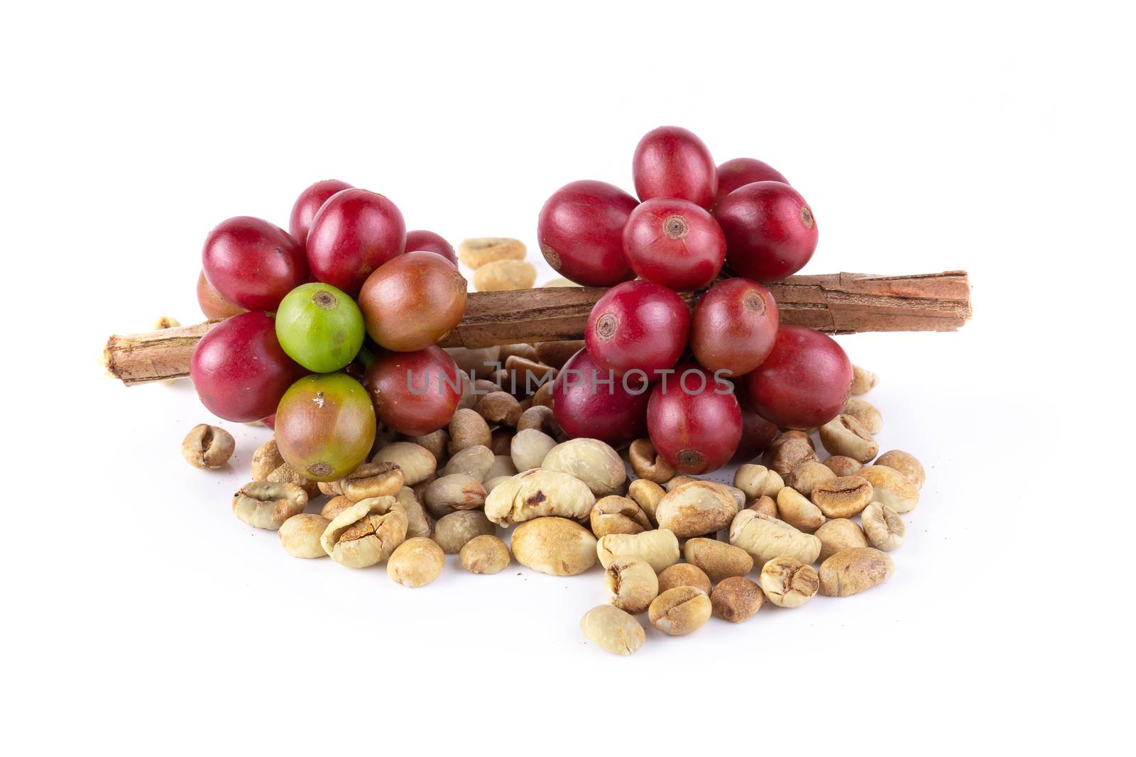 Fresh Coffee Red Berry branch and Coffee beans isolated on white by kaiskynet