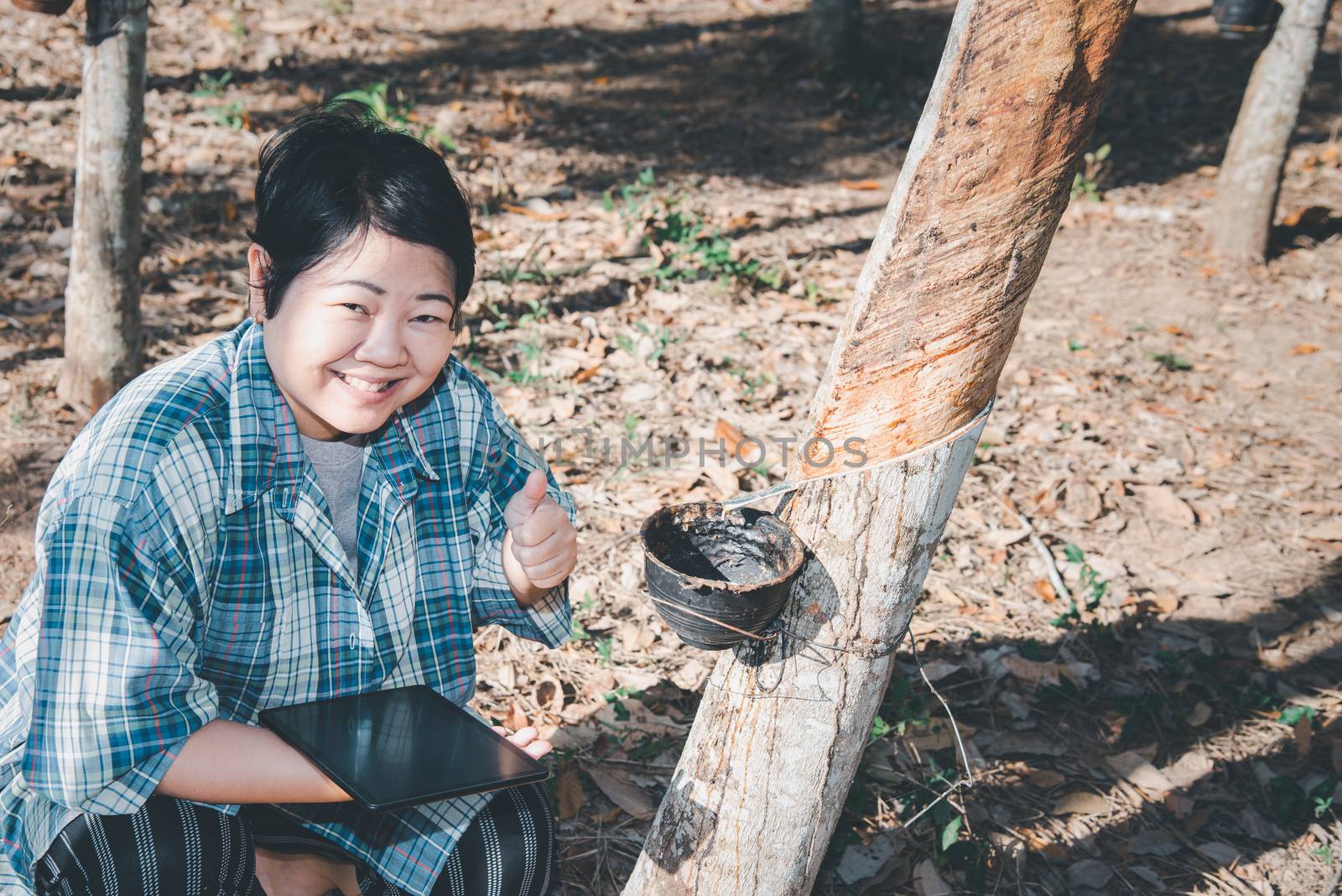 Farmer agriculturist Rubber tree plantation by PongMoji