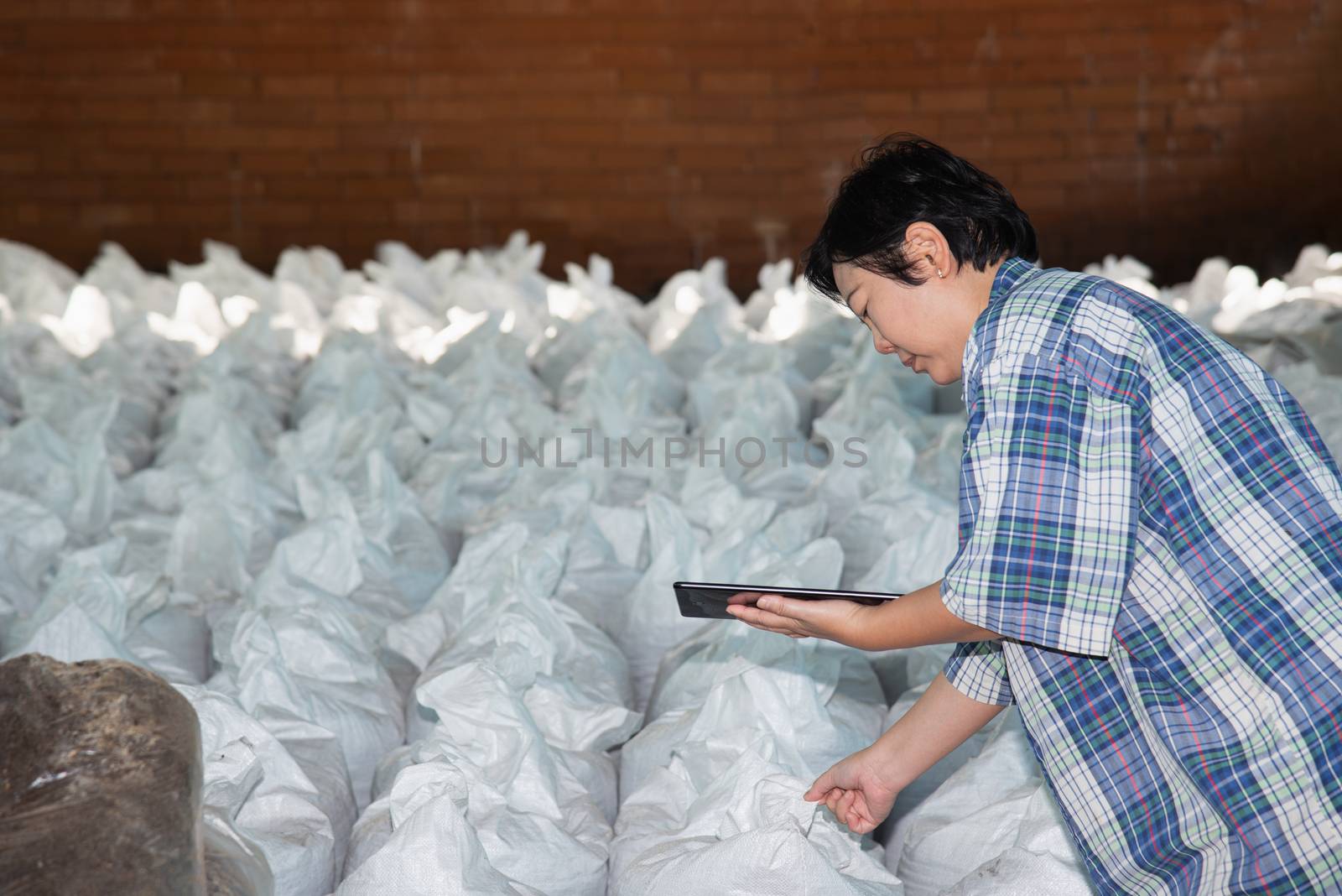 Asian woman smart farmer agriculturist working at Fertilizer composting plant with Organic Fertilizer, Compost (Aerobic Microorganisms) from animal waste for use in the organic agriculture industry