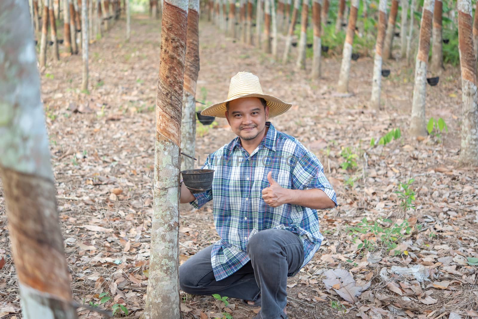 Farmer agriculturist Rubber tree plantation by PongMoji