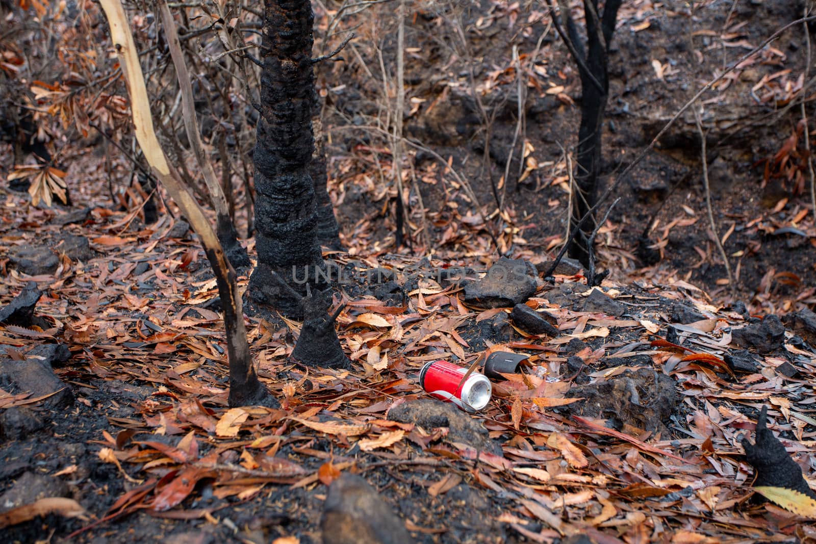 Straight after bush fires burn all the undergrowth, people throw fresh rubbish into the landscape.