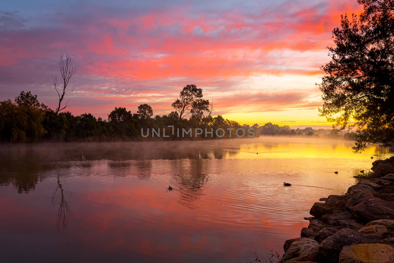 Beautiful sunrise with vibrant colours and reflections over the billabong with a light fog skimming on the  water