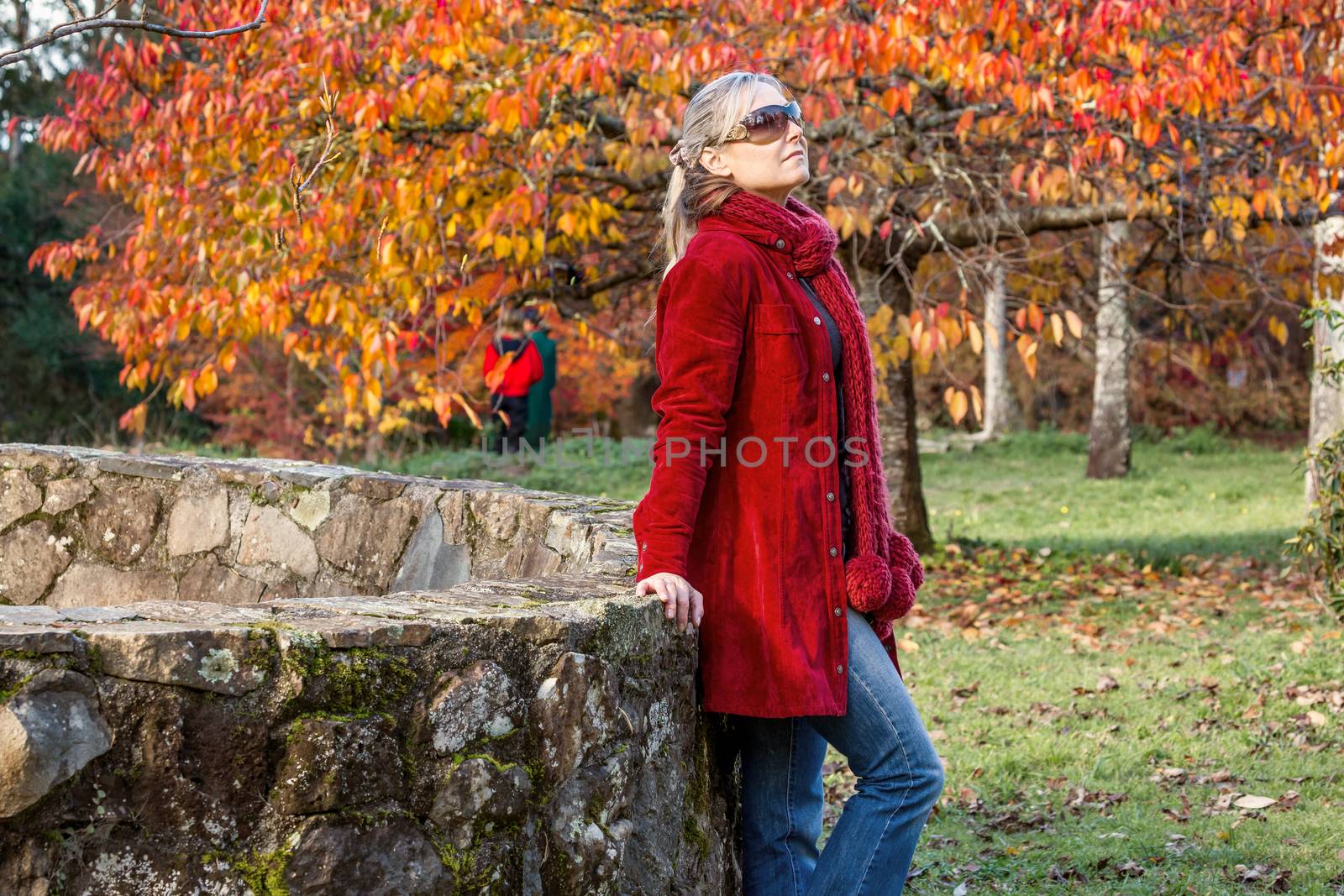 Woman rests against rustic stone fence among autumn trees